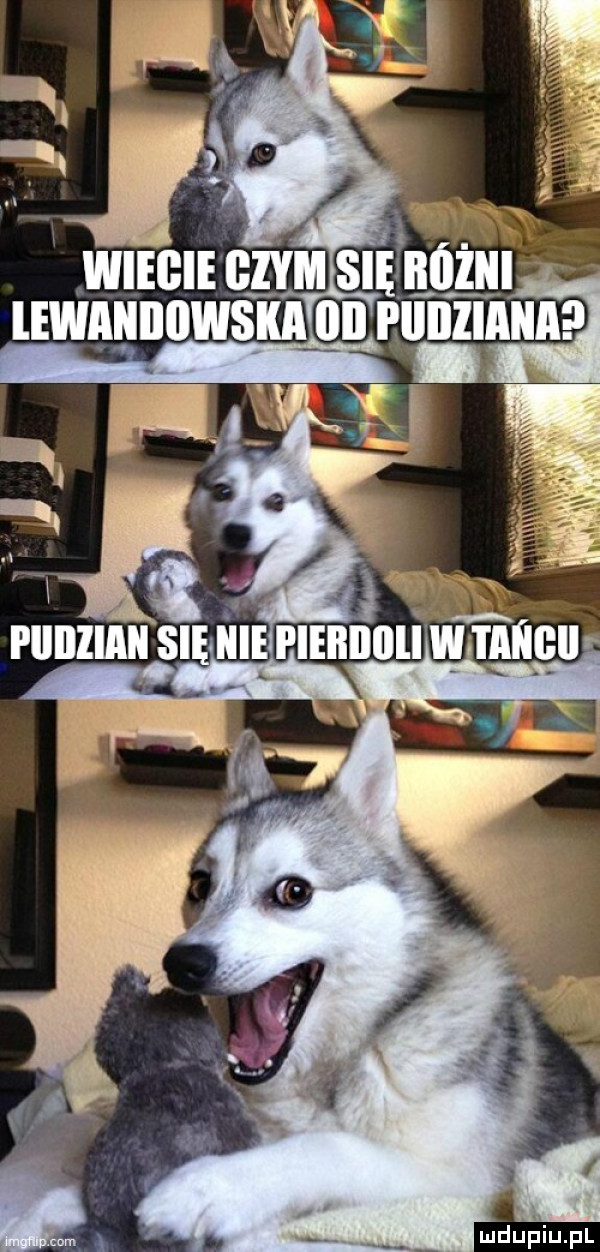 wan ehm się manu tir piiiiziaii się nie piebiiiiiiw tmigii