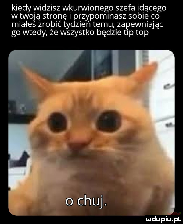 kiedy widzisz wkurwionego szefa idącego w twoją stronę przypommasz sobie co miałeś zrobić tydzień temu zapewniając go wtedy że wszystko będzie tip top o chuj