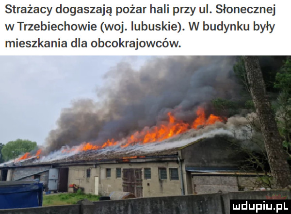strażacy dogaszają pożar hali przy ul. słonecznej w trzebiechowie woj. lubuskie. w budynku były mieszkania dla obcokrajowców