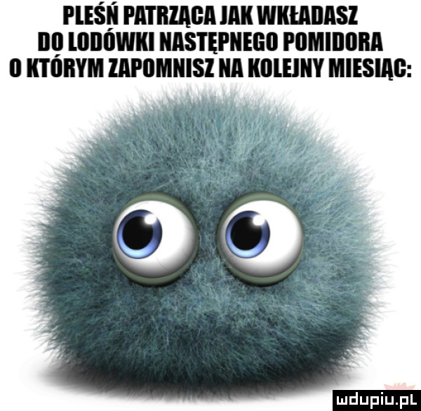 pleśń pat men ici wkładasz ibl lililiiwki następne pgmiiiiiba il iitoiiym lapilmiiisz ica koleiiiy miesiąc
