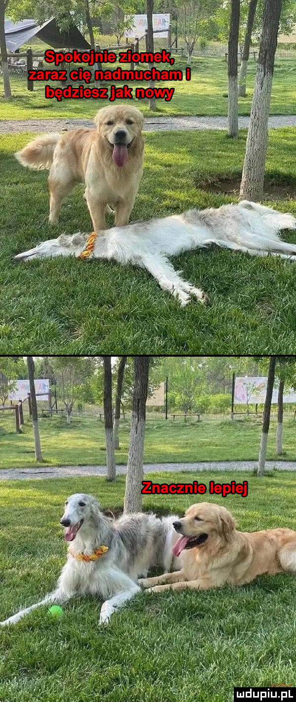 Obrazek