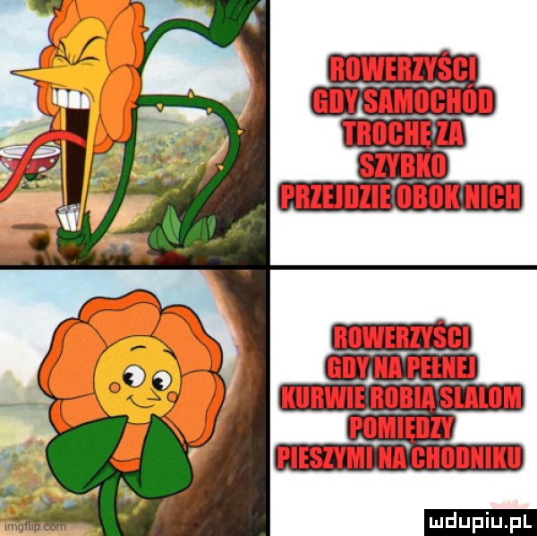 upiu pl