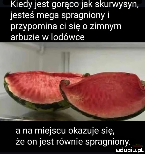 kiedy jest gorąco jak skurwysyn jesteś mega spragniony i przypomina ci się o zimnym arbuzie w iodéwce a na miejscu okazuje się że on jest równie spragniony