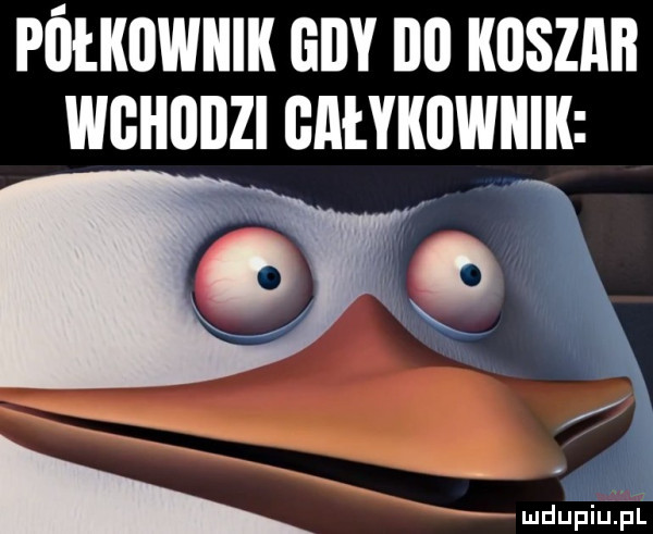 półkownik gi ibl kijszmi wgkijiizi gałykiiwkik