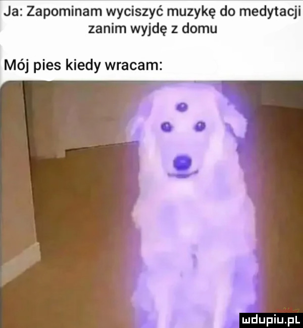 ja zapominam wyciszyć muzykę do medytacji zanim wyjdę z domu mój pies kiedy wracam