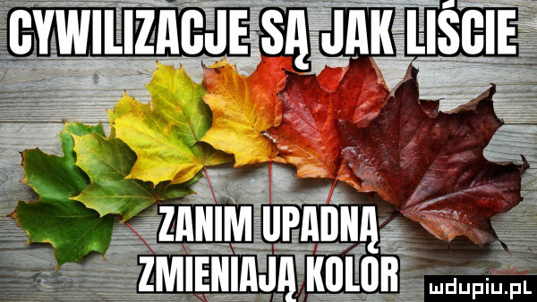 liście gmwilizagjęjśę jak rv.   znmmupnnuą hmm pf kiiitoii