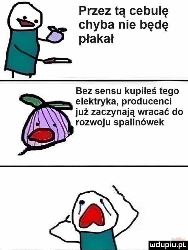 przez tą cebulę chyba nie będę płakał bez sensu kupiłeś tego elektryka producenci już zaczynają wracać do rozwoju stalinówek ludu iu. l