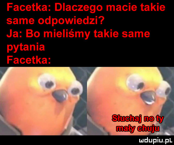 facetka dlaczego macie takie same odpowiedzi ja bo mieliśmy takie same pytania facetka