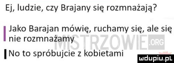 ej ludzie czy brajany się rozmnażają jako baraban mówię ruchamy się ale się nie rozmnażamy no to spróbujcie z kobietami
