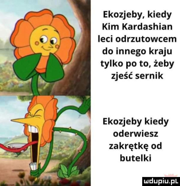 ekozjeby kiedy kim kardashian leci odrzutowcem do innego kraju tylko po to żeby zjeść sernik ekozjeby kiedy oderwiesz zakrętkę od butelki ludu iu. l