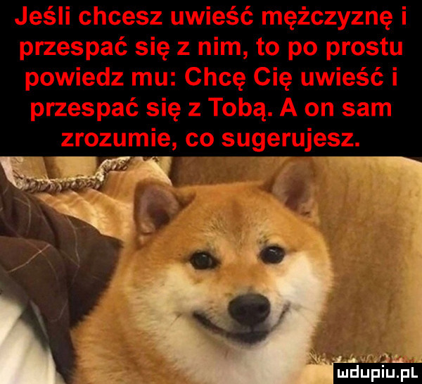 nr i mduplu pl