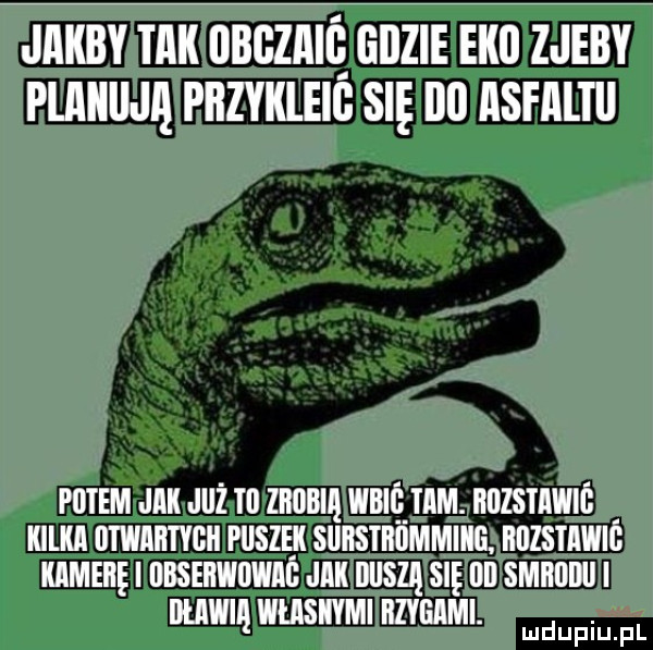 jakby tak abgzaia gdzie eda zjeby plakiija pkzykleig się ica asfaltu patem jak już tl zaaaia wbia tam. kazstawia kilka atwaktvak piiszęk siikstkammika. nnzsmwn kamekęi absekwawaa jak dusza się ai smarda i mw wuisiwmi bzygami. abakankami mduplu pl