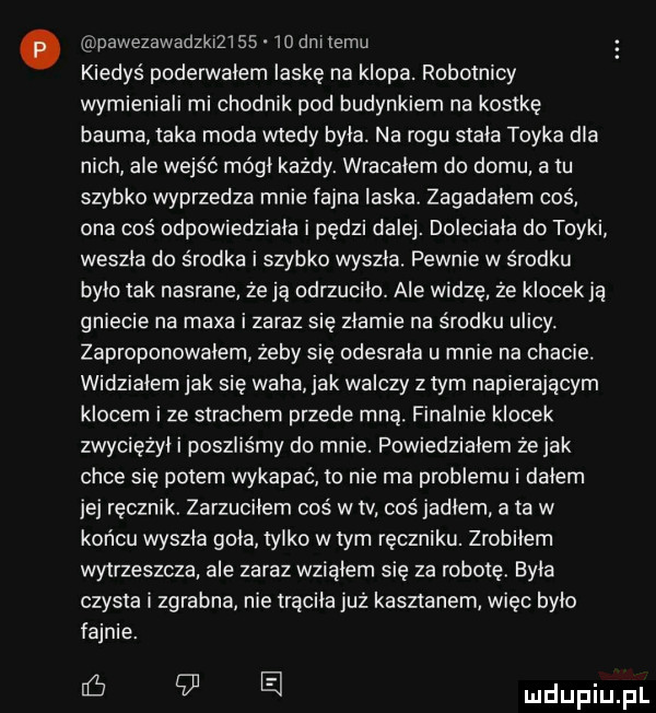 pawezawadzmzwss   dm emu kiedyś poderwalem laskę na klopa. robotnicy wymieniali mi chodnik pod budynkiem na kostkę bluma taka moda wtedy byla. na rogu stala tryka dla nich ale wejść módl każdy. wracalem do domu atu szybko wyprzedza mnie fajna laska. zagadalem coś ona coś odpowiedziala i pędzi dalej. doleciala do tryki weszla do środka i szybko wyszla. pewnie w środku bylo tak nasrane że ją odrzuciło. ale widzę że klocek ją gniecie na maxa i zaraz się zlamie na środku ulicy. zaproponowałem żeby się odesrala u mnie na chacie. widzialem jak się waha jak walczy z tym napierającym klocem i ze strachem przede mną. finalnie klocek zwycięzyl i poszliśmy do mnie. powiedzialem że jak chce się potem wykapać to nie ma problemu i dalem jej ręcznik zarzucilem coś w ty coś jadlem a ta w końcu wyszla gola tylko w tym ręczniku. zrobilem wytrzeszcza ale zaraz wzialem się za robotę byla czysta i zgrabna nie trąciła już kasztanem więc bylo fajnie. ﬁ    el