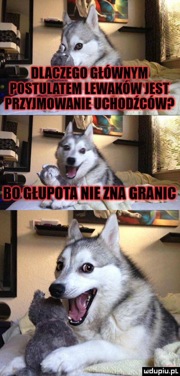 rosim ﬁm lewaków ięśt pbivimiiwanieiigiiiiiiigiiw