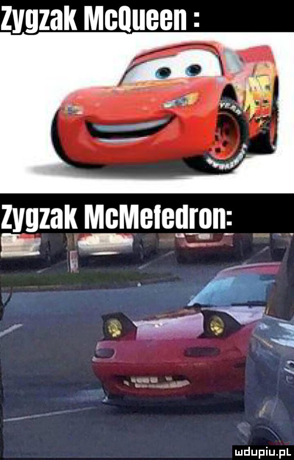 zygzak mgqiibbii