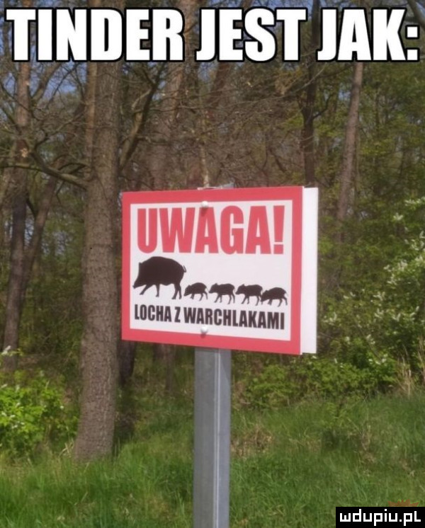 s i iniieii ieśt ilii       mam lucnnzwąnculmm mdufiu f l