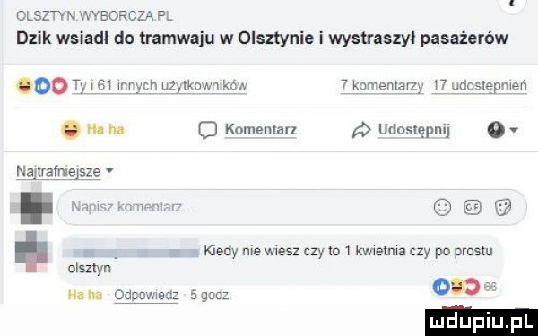 olsztyn x d bor cba pl dzik wsiali do tramwaju w olsztynie i wystraszył pasażerów oo t i    vmych uzﬂko mąko w   kov entarzg    udosvgpmeh o h na   komentarz udostępnij o v na trafnie sie i a kiedy nie wiesz czy o   kwietnia czy po prestu olsztyn odo n. odmunu elton
