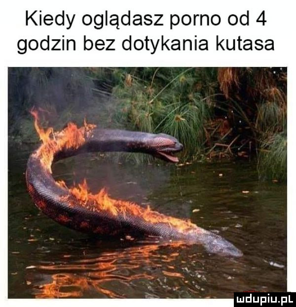kiedy oglądasz porno od   godzin bez dotykania kutasa