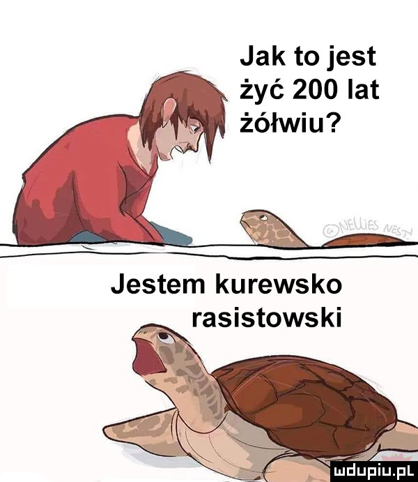 jak to jest. żyć     lat żółwiu jestem kurewsko rasistowski