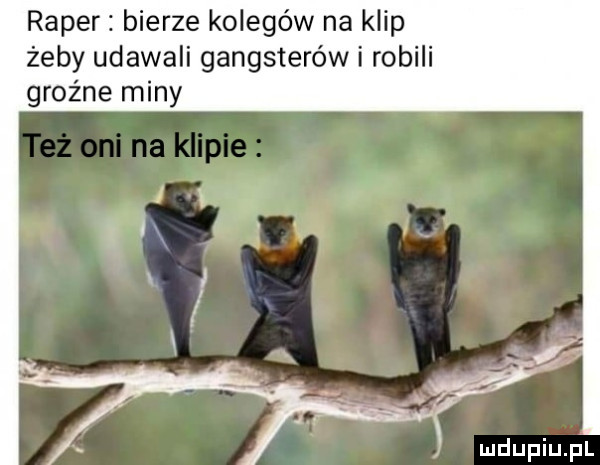 raper bierze kolegów na klip żeby udawali gangsterów i robili groźne miny