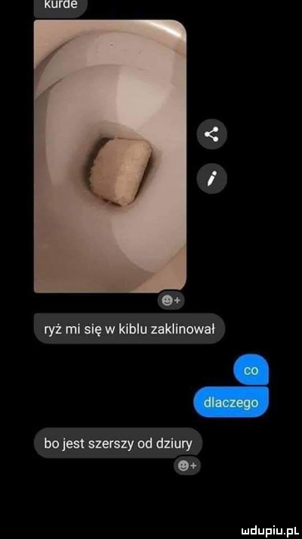 ryż mi się w kiblu zaklinował co dlaczego bo jest szerszy od dziury