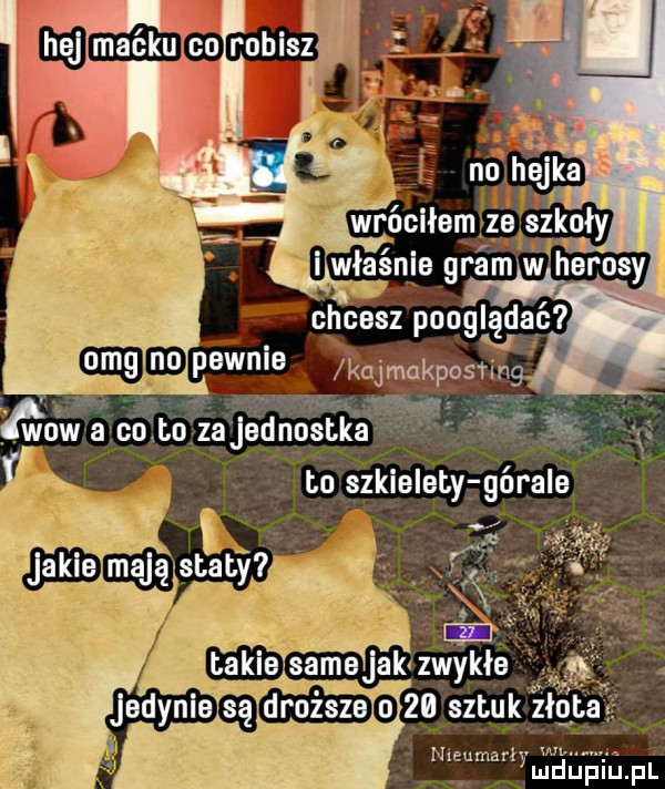 chcesz poogląda zwykłe jedynie game    sztuk złot. nieumarły v maupiupl