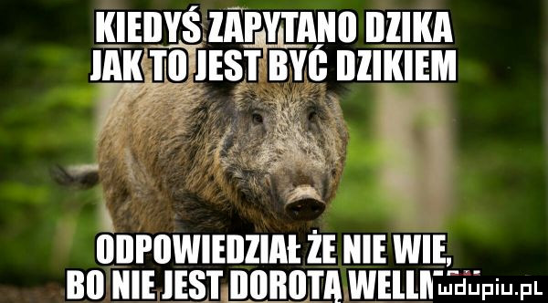 kiedyś lici ytiiiiil illiria iawkitiest być illiiiiem ig f ł m iiiii iiwieiiziiii że nie wie bi nie iest mewa weilii leu idu pl