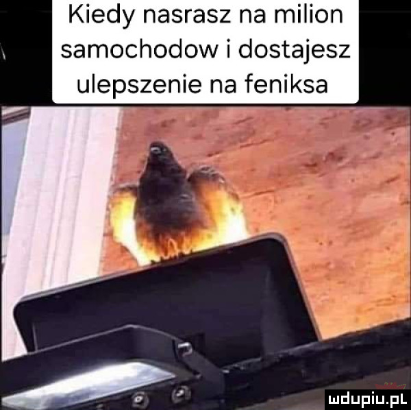kiedy nasrasz na milion samochodow i dostajesz ulepszenie na feniksa