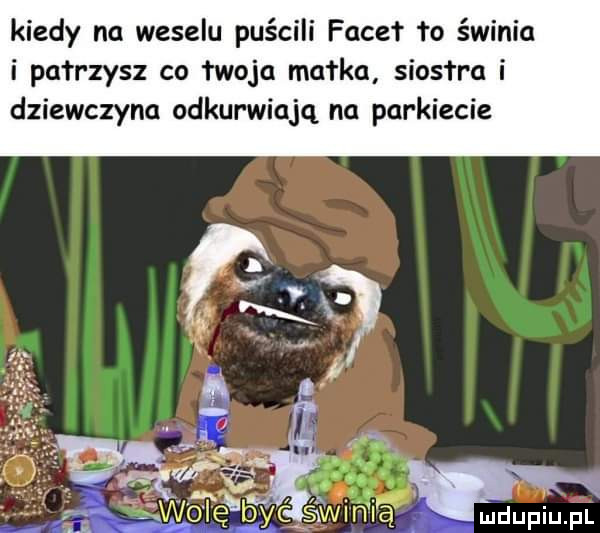 kiedy na weselu puścili facet to świnia i patrzysz co łwoju mułka siostra i dziewczyna odkurwiajq na parkiecie