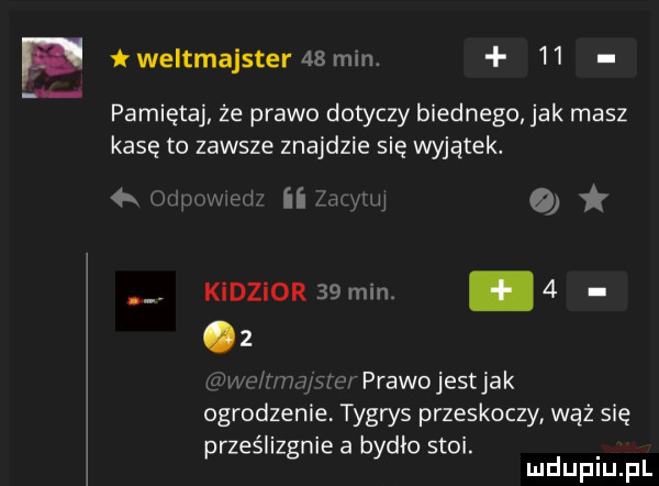 e weltmajster    min    pamiętaj że prawo dotyczy biednego jak masz kasę to zawsze znajdzie się wyjątek. a. w wi ii mm o k d   r  min   z w wkm wzw prawojestjak ogrodzenie tygrys przeskoczy wąż się prześlizgnie a bydło stoi. mduplu pl