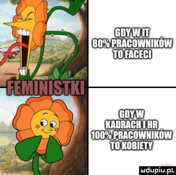 upiu pl
