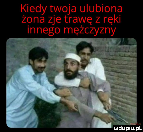kiedy twoja ulubiona żona zje trawę z ręki innego mężczyzny