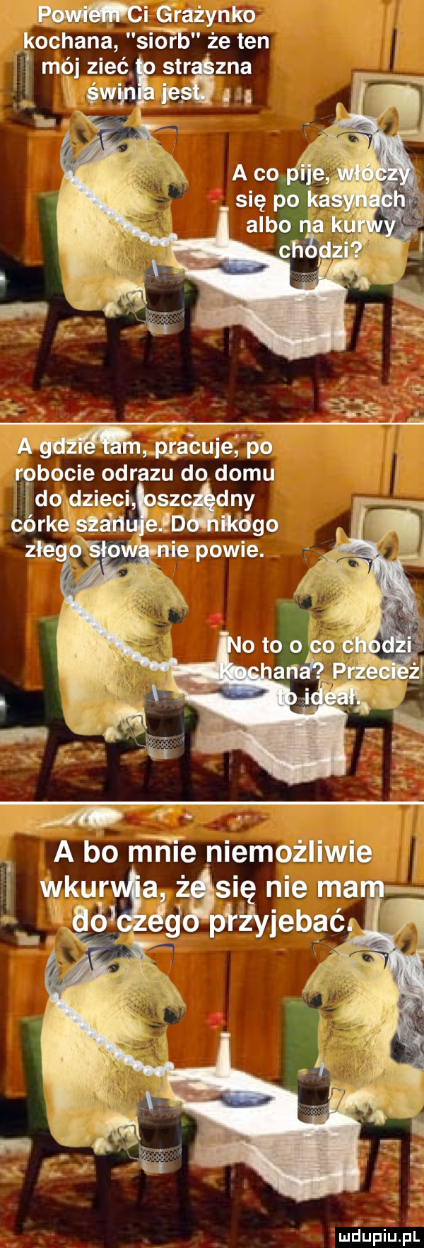 pm grażynko kochana siwe że ten a gazamśiabuiefpo robocie obrazu do domu milupiﬁpl