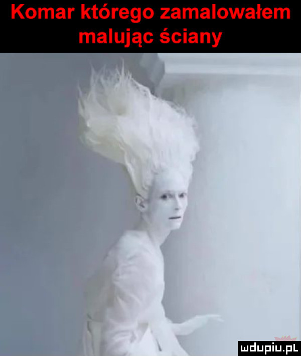 upiu pl