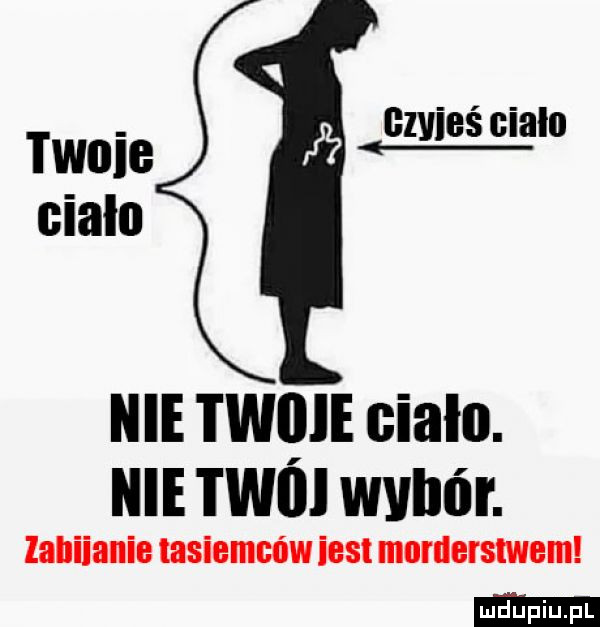 tanie gifes cialo cialo nie twqie eialu. nie twoi wybór. lahiianie tasiemców iest morderstwem