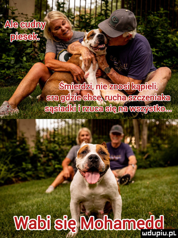 mm nie znosi kąpieli