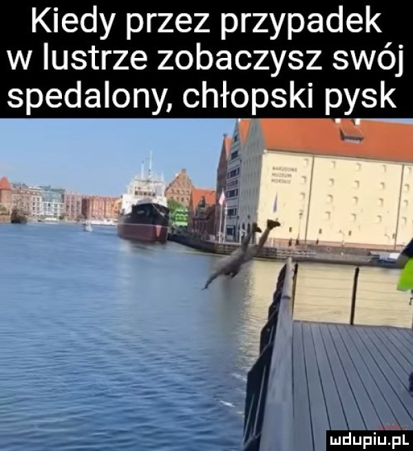 kiedy przez przypadek w lustrze zobaczysz swéj spedalony chłopski pysk
