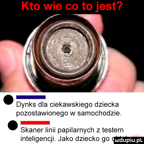 kto wie co to jest dynks dla ciekawskiego dziecka pozostawionego w samochodzie. abakankami skaner linii papilarnych z testem inteligencji. jako dziecko go mm