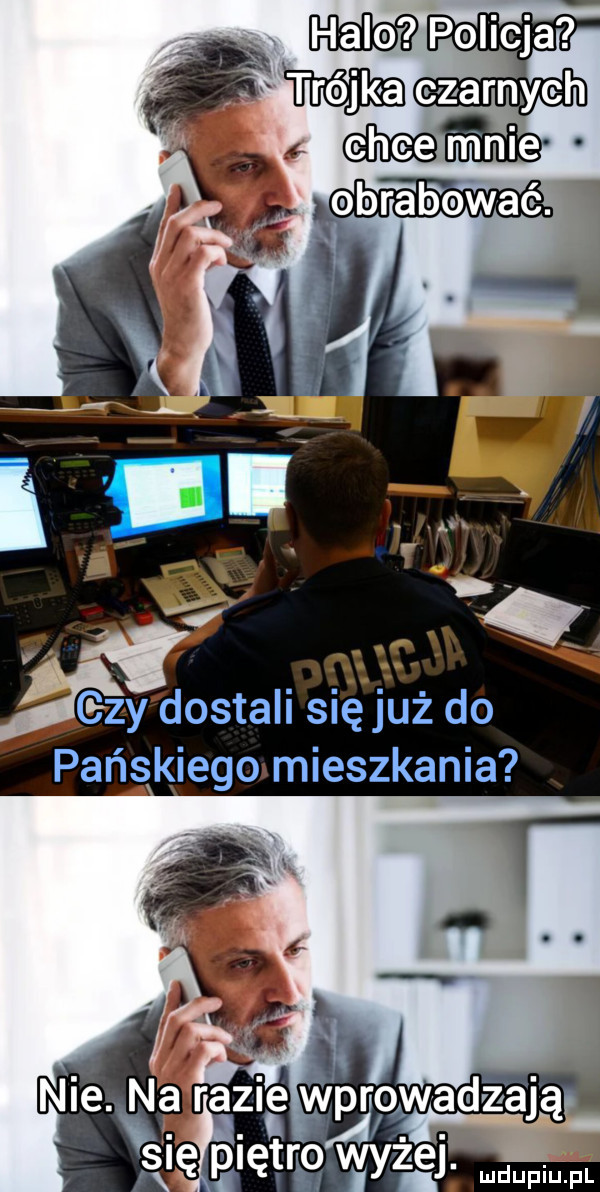 policja ójka czarnych