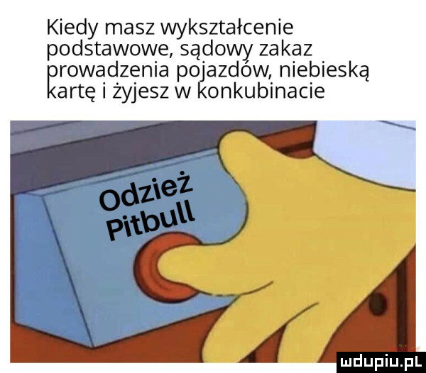 kiedy masz wykształcenie podstawowe sądowy zakaz rowadzenia p oąazdow niebieską artę i żyjesz w onkubinacie