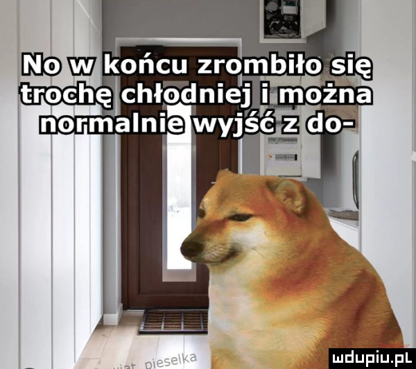 wm pl