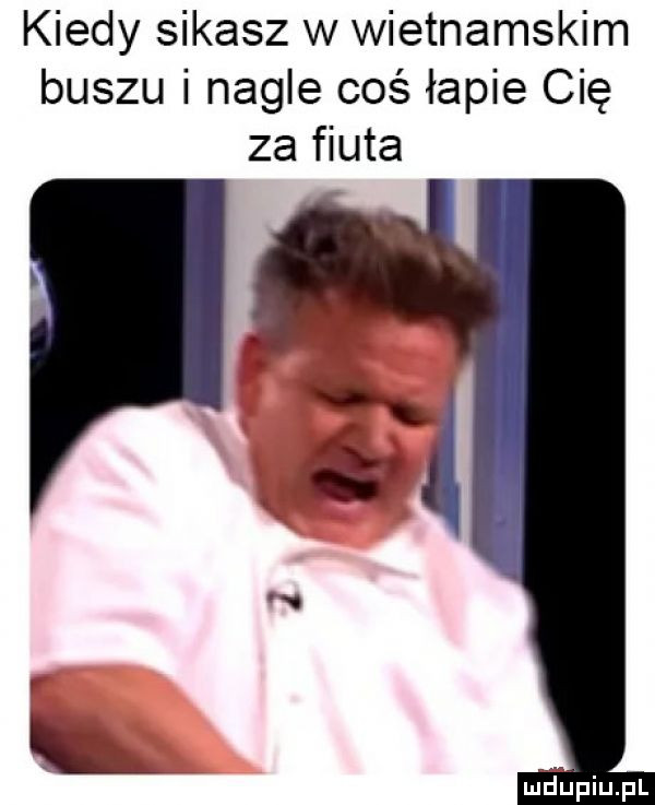 kiedy sikasz w wietnamskim buszu nagle coś łapie cię za fiuta h