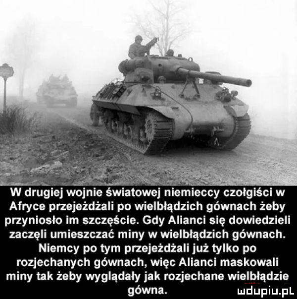 afryce przejeżdża po wielbiadzich gównach żeby przyniosło im szczęście. gdy alianci ę dowiedzieli zaczęli umieszczać miny w wielbłądzich gównach. niemcy po tym przejeżdża już tylko po rozjechanych gównach więc alianci maskowali miny tak żeby wygladaly jak rozjechana wielbladzie gówna