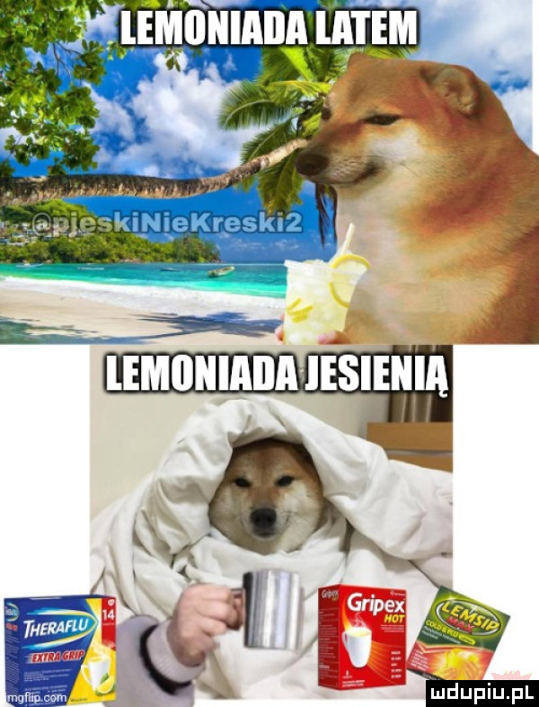 umumnnugrą