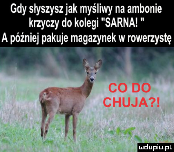 gdy słyszysz jak myśliwy na ambonie krzyczy do kolegi sarna a później pakuje magazynek w rowerzystę co do f chuja b  t nor c