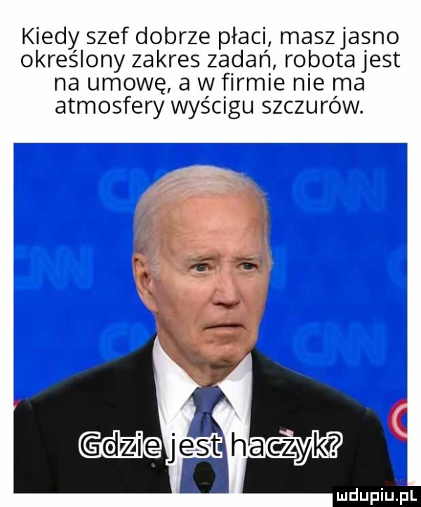 kiedy szef dobrze płaci maszjasno określony zakres zadań robota jest na umowę a w firmie nie ma atmosfery wyścigu szczurów