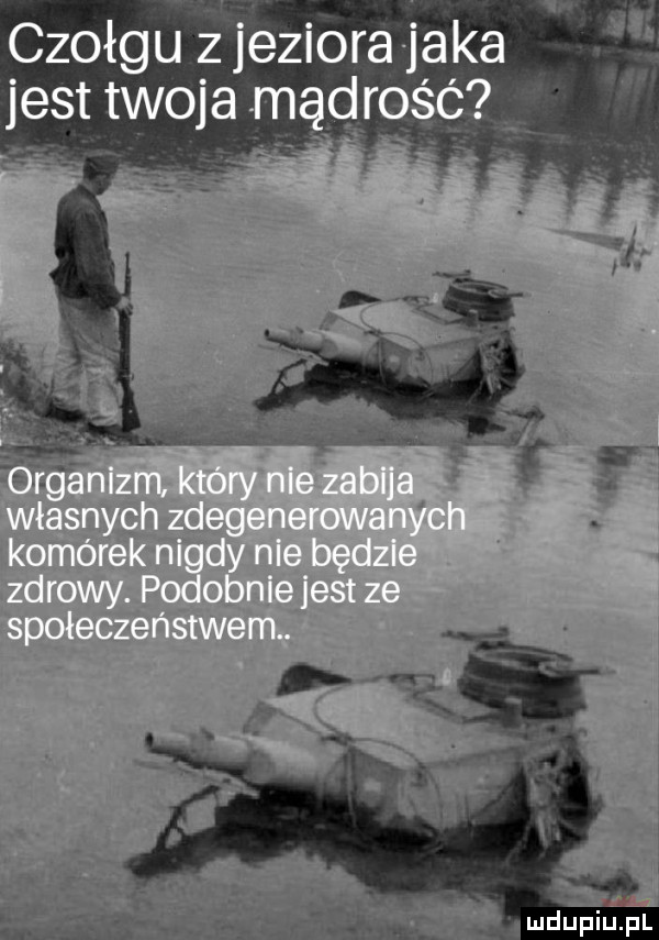 czołgu żjeziora jaka jest twoja mąmsg