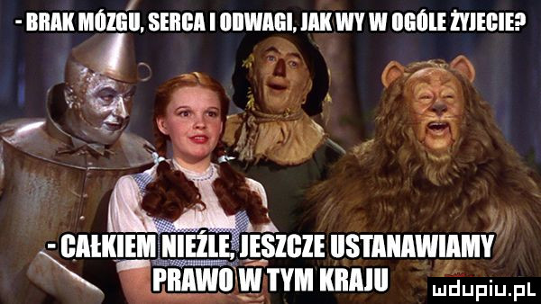 biiiiii mﬂllill sami i iiiiiiiiiiii ibl wy w iiiiiiie niebie iiiitiiiemwiie li. amp qua. nnwume mm jaw fl