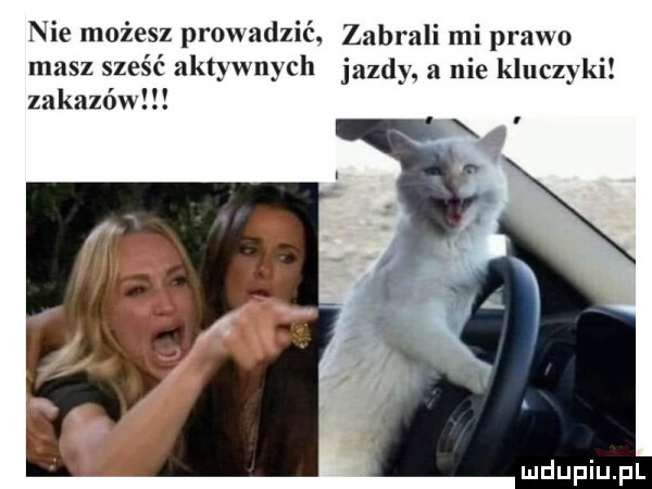 nie możesz prowadzić zabrali mi prawo masz sześć aktywnych jazdy a nie kluczyki zakazów