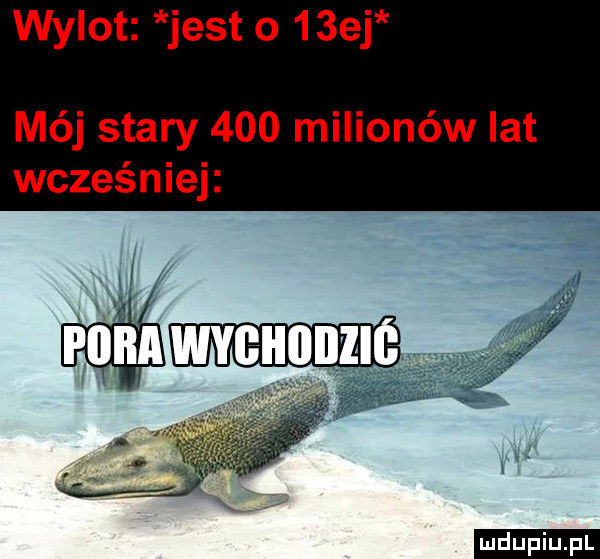 wylot jest o   ej mój stary     milionów lat wcześniej ludu iu. l